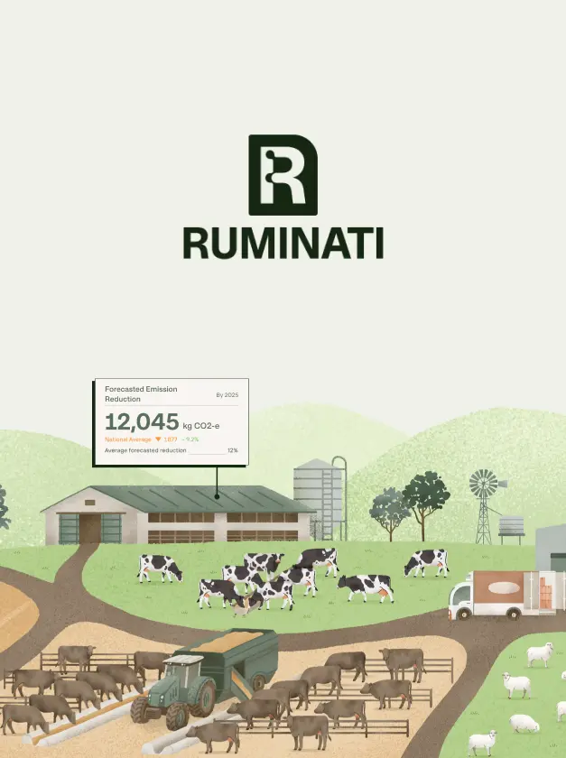 Ruminati